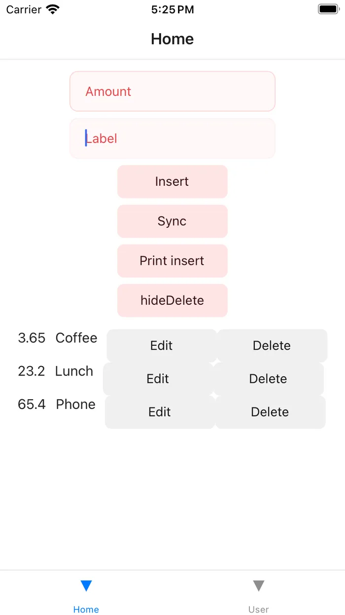 Image of the ledger application
